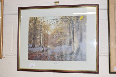 Lot 269 - After Edward Waite study of Beech Wood