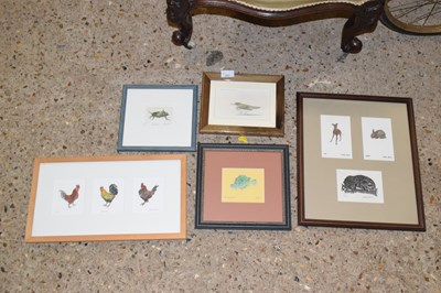 Lot 283 - Debby Mason a group of various prints of animals
