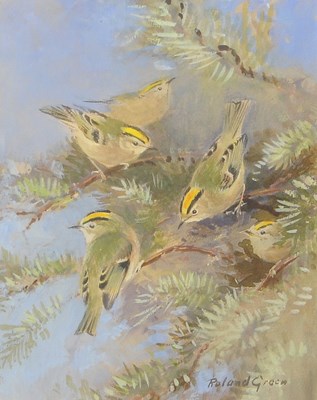 Lot 674 - Roland Green (1890-1972), Group of Goldcrests,...