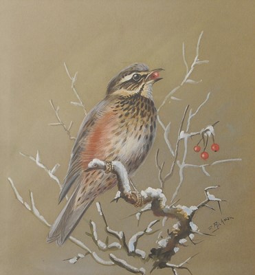 Lot 675 - Philip Rickman (British,1891-1982) Perched...