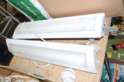 Lot 753 - Two electric ceiling or wall light fittings