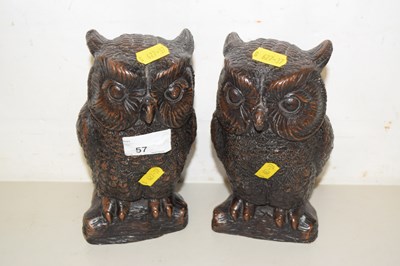 Lot 57 - A pair of bronzed resin model owls