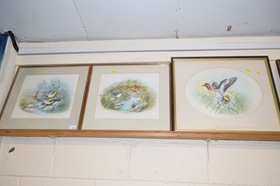 Lot 208 - Christopher Scales, three studies, Teal,...