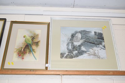 Lot 209 - M J Wickham Indian Ring Necked Parakeet,...