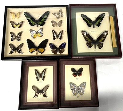 Lot 267 - A group of four cases of mainly Malaysian...