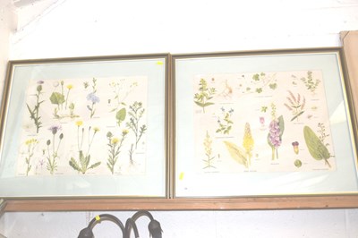 Lot 38 - Two coloured prints of British flowers