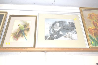 Lot 276 - M J Wickham Indian Ring Necked Parakeet,...