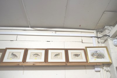 Lot 282 - Group of five various ornithological prints,...