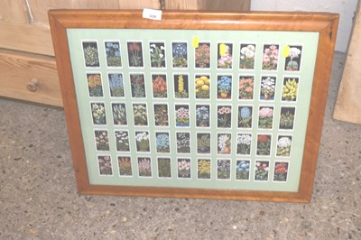 Lot 339 - A framed set of Wills floral cigarette cards