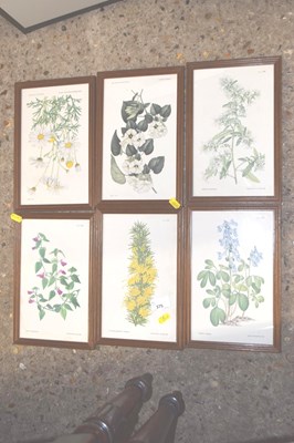 Lot 375 - A set of six botanical prints