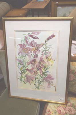 Lot 387 - Jane Ironside, study of lilies, watercolour,...