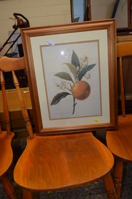 Lot 436 - A reproduction botanical print