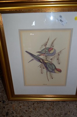 Lot 467 - A coloured print of parakeets