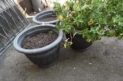 Lot 478 - A set of three large plastic planters