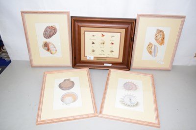 Lot 539 - A group of various framed studies of sea...
