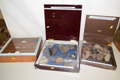 Lot 207 - Three cases containing various fossils and...
