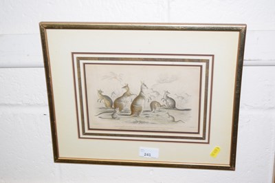 Lot 241 - Print of Lord Derby's Kangaroo, framed