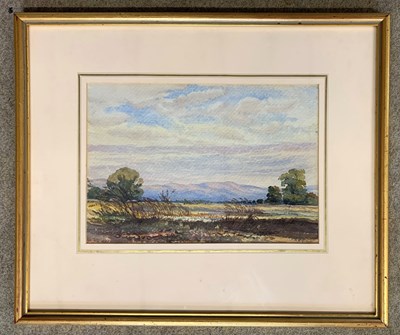 Lot 4 - A.G. Ballantyne (19th century), Abbott and...