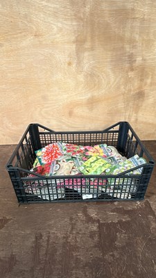 Lot 1031 - Crate of 12 packs of mixed summer bulbs