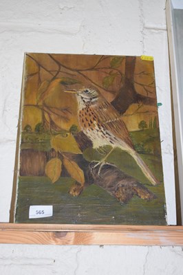 Lot 565 - Oil on board depicting a song bird