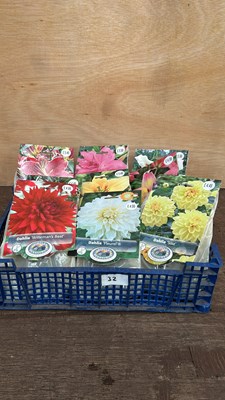 Lot 1032 - crate of 9 packets of Summer Bulbs