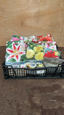 Lot 1039 - crate of 9 packs of summer bulbs