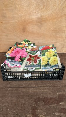 Lot 1043 - crate of 9 mixed summer bulbs