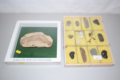 Lot 83 - A fossilised fish in display case together...