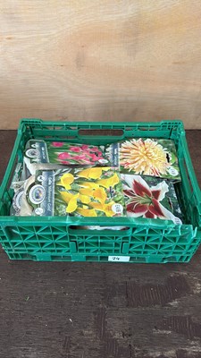 Lot 1024 - 12 packs of mixed Summer bulbs