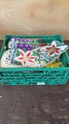 Lot 1079 - 12 packs of mixed Summer bulbs