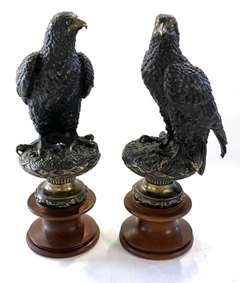 Lot 417 - A pair of patternated brass Eagles set on...