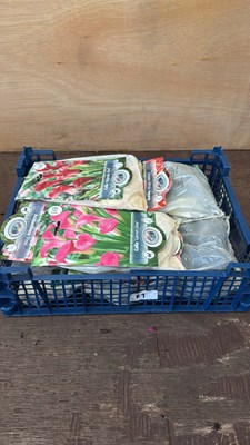 Lot 1049 - Crate of 12 mixed Summer flowering bulbs