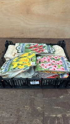 Lot 1111 - Crate of 12 mixed Summer flowering bulb packs