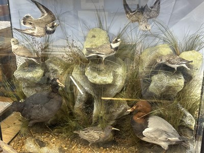 Lot 424 - A Victorian taxidermy diarama of various birds...