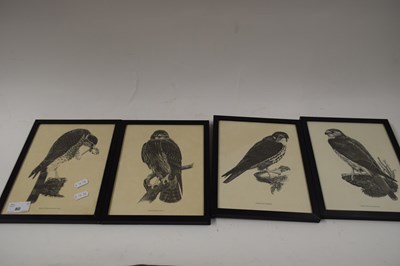 Lot 80 - FOUR FRAMED BLACK AND WHITE PRINTS - BIRDS OF...