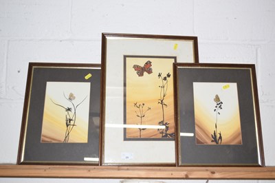 Lot 29 - B J Holden - Three studies of butterflies