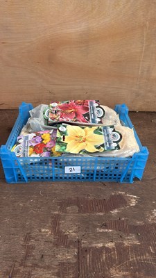 Lot 1021 - Crate of 12 mixed summer bulb packs