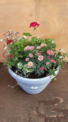 Lot 1050 - Patio Planter