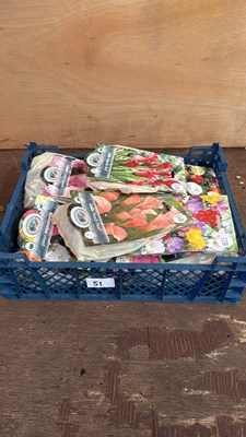 Lot 1051 - Crate of 12 mixed summer bulb packs