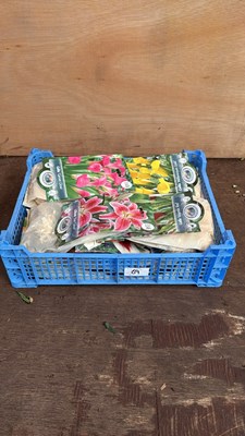 Lot 1069 - Crate of 12 mixed summer bulb packs