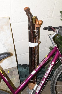 Lot 900A - Mixed Lot:  Assorted walking sticks