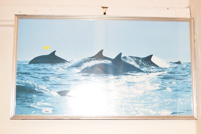 Lot 698 - A coloured print of dolphins