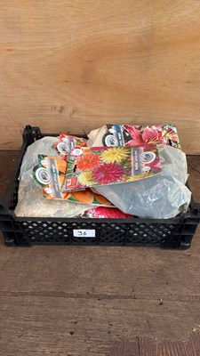Lot 1036 - Crate of 12 mixed Summer Bulb packs