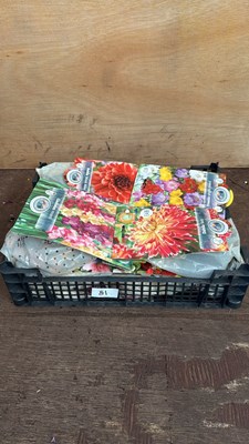 Lot 1081 - Crate of 12 mixed Summer Bulb packs