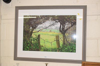 Lot 238 - S J Pratchett, Through the Hedge, coloured...