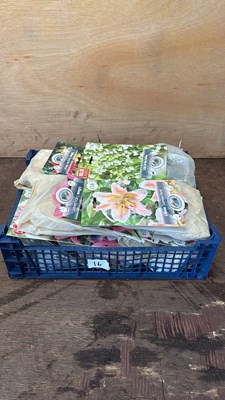 Lot 1016 - Crate of 12 mixed Summer bulb packs