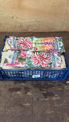 Lot 1069 - Crate of 12 mixed Summer bulb packs
