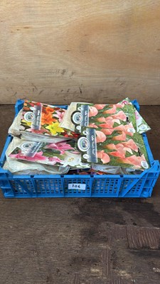 Lot 1106 - Crate of 12 mixed Summer bulb packs