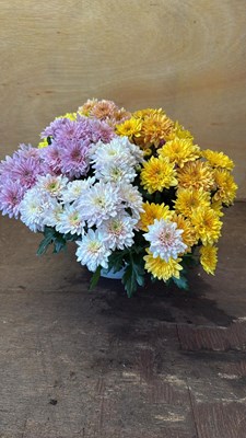 Lot 1109 - Chrysanthemum bowl