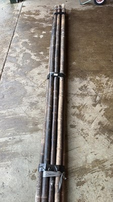 Lot 1116 - Bundle of 10 Bamboo Poles